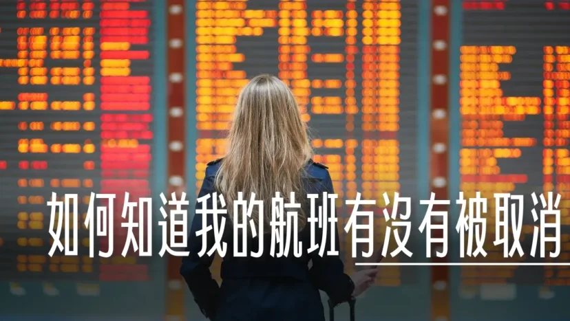 要怎麼查我的航班取消.延遲？查詢班機資訊那些地方不建議看？查我的登機門？延誤證明申請 - 這裡胡說 JL TALKS