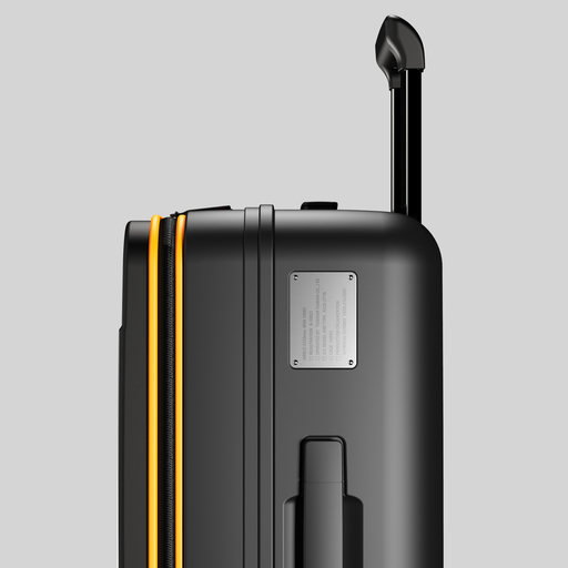 掛軸　蘭桂　猛虎　共箱 W1siZiIsIjI0ODc4L3Byb2R1Y3RzLz