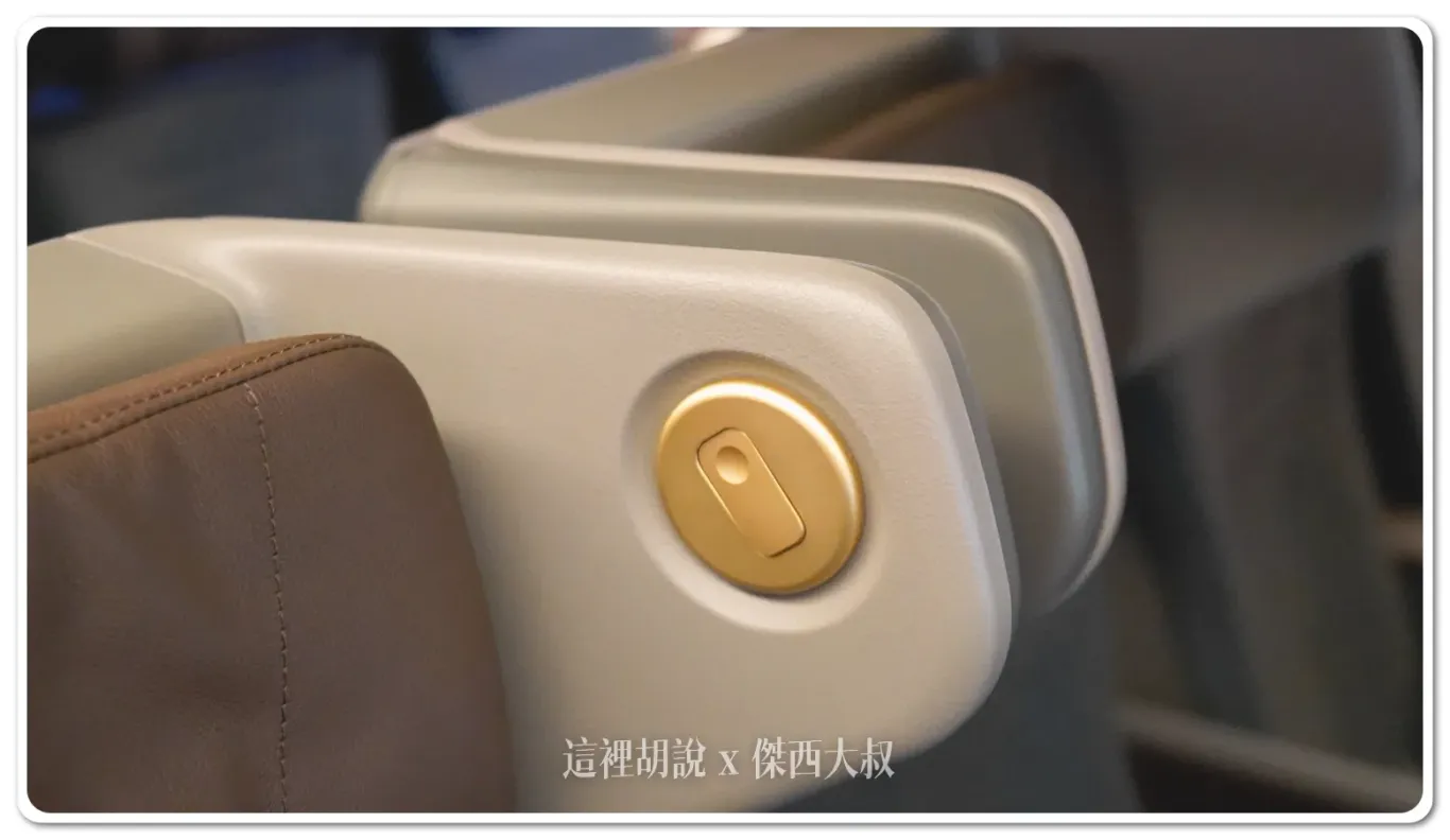 Reading Light on Headrest Side Panel