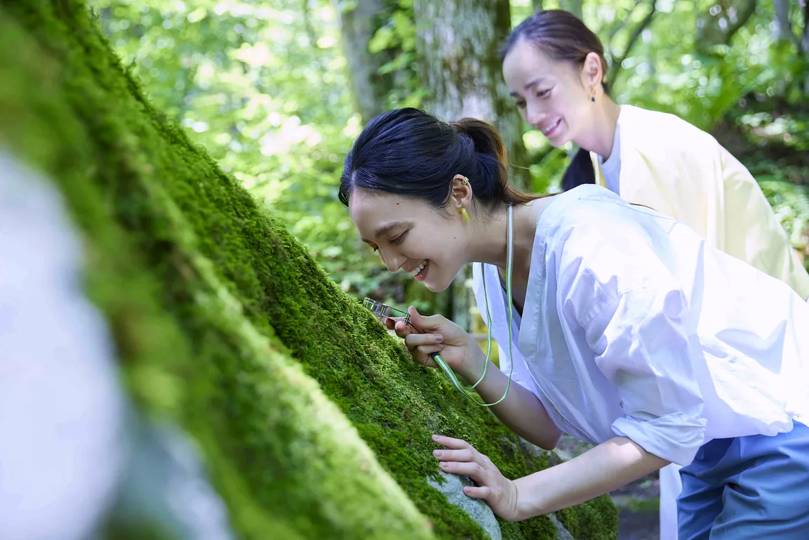 探索苔蘚微觀世界的「苔蘚漫步」