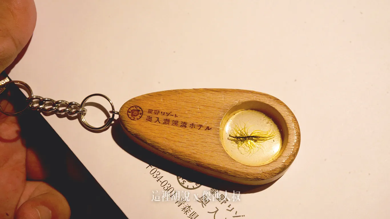 鑰匙也非常有特色,裡面是一個蕨類,喜歡的話在飯店商店內也有銷售 鑰匙也非常有特色,裡面是一個蕨類,喜歡的話在飯店商店內也有銷售