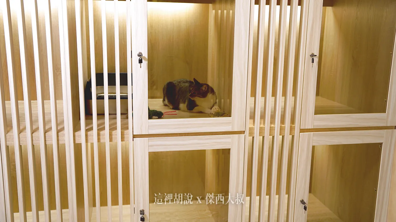 空間上因為是暫置，所以這個區域會比較小一點，這點飼主不用擔心，旅館裡面空間比較大，而且還有小跳台