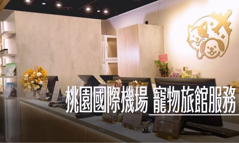 【桃園機場寵物旅館】出國回國，毛孩機場等你！ 旅程更輕鬆 24小時保姆 桃園機場新服務 - 這裡胡說 JL TALKS