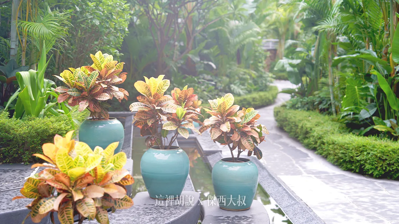從大廳一旁的門口可以走出去，有一個空中小花園