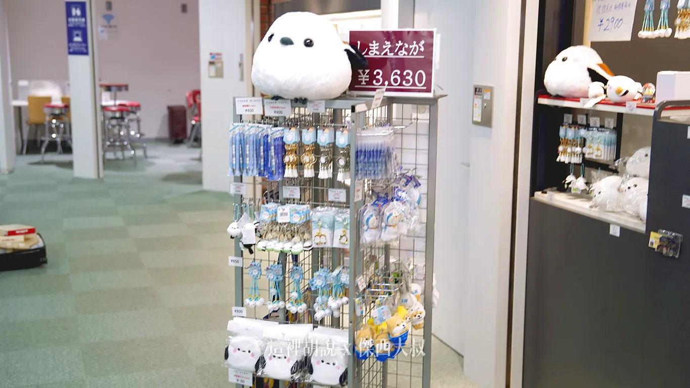 北海道的特有種小鳥『銀喉長尾山雀』