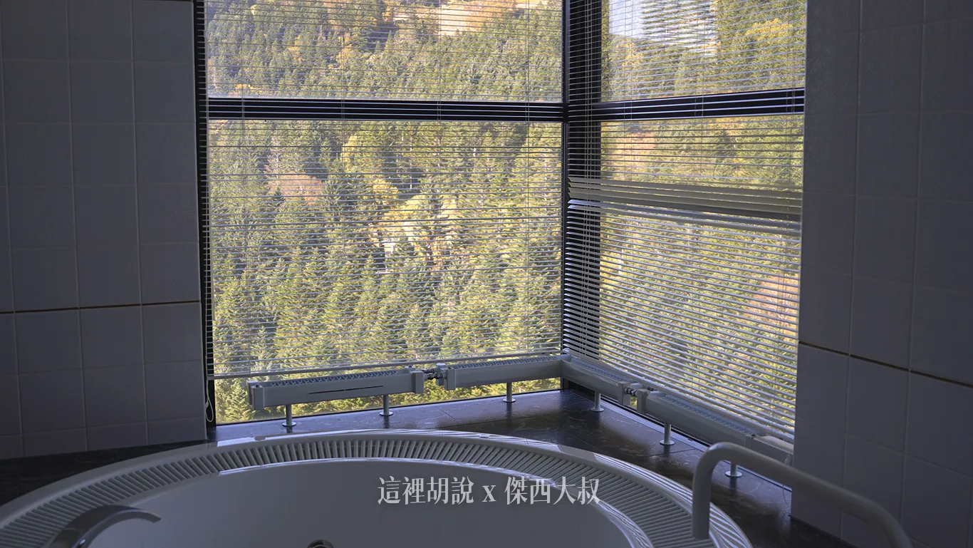 Mountain views from the window.