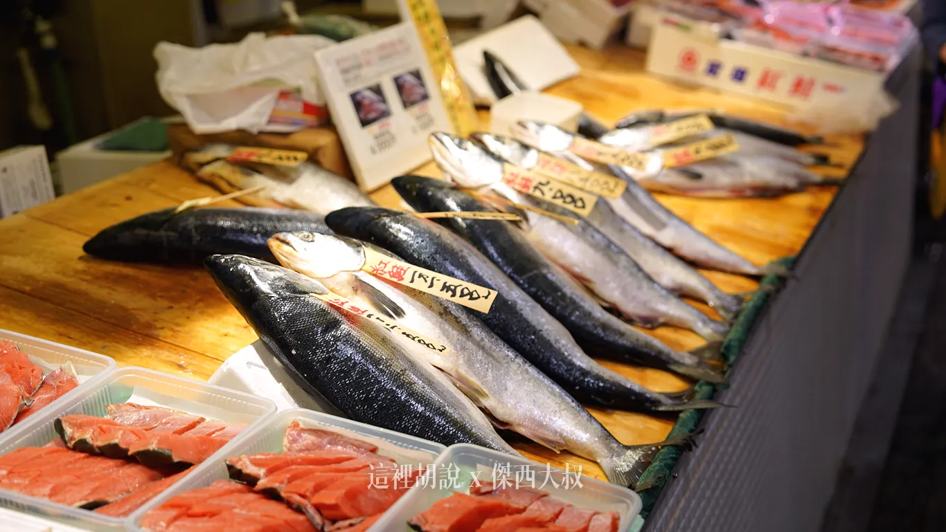北海道因為接近俄羅斯海，這片海域盛產鮭魚