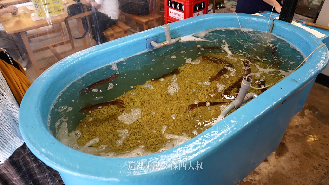 OMO5 函館：自由市場導覽 海鮮專門店 北海道新鮮海產直送 傑西吃了整盒鹽水海膽：釣小卷