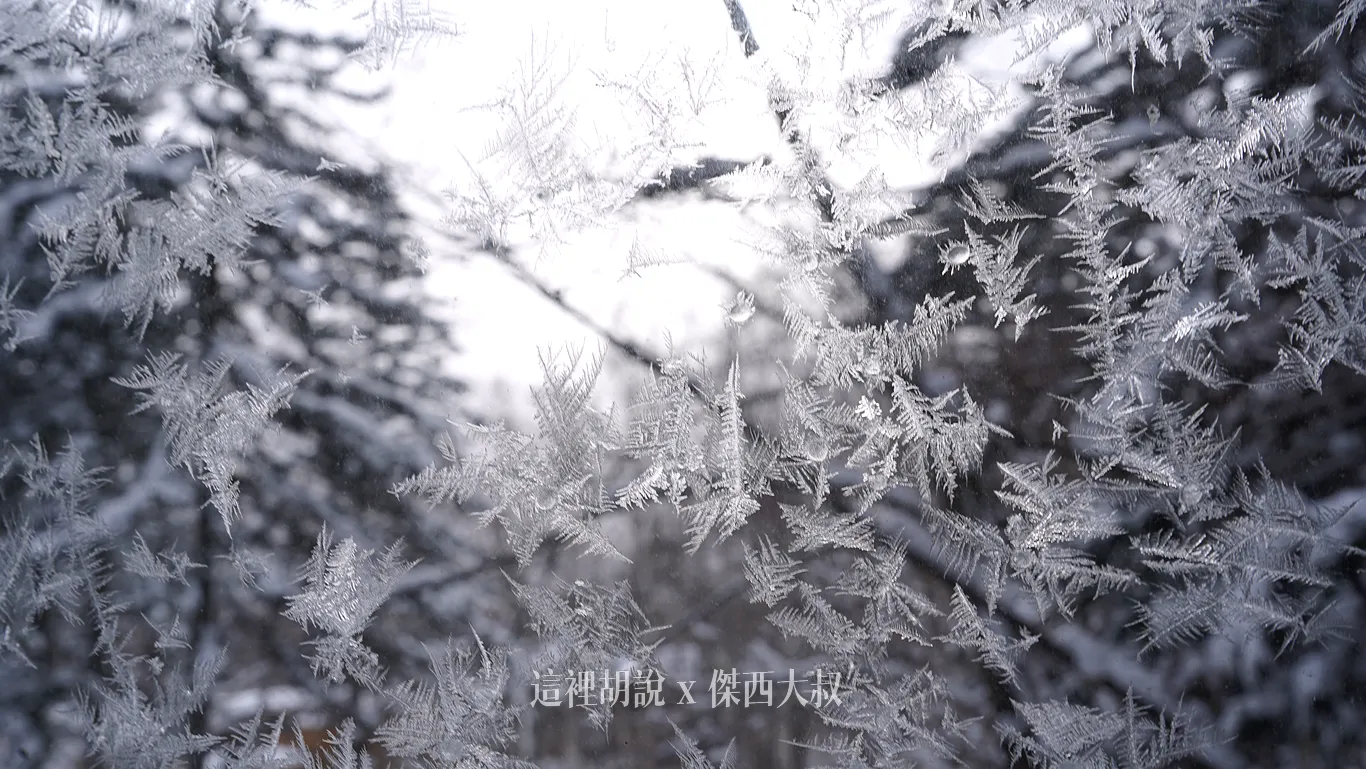 一片一片的冰晶感覺來到雪之國度