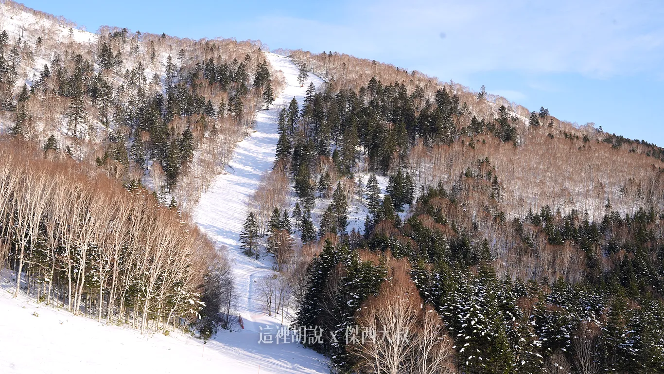 搭纜車上山的時候,雪道就變的非常清晰可見 搭纜車上山的時候,雪道就變的非常清晰可見