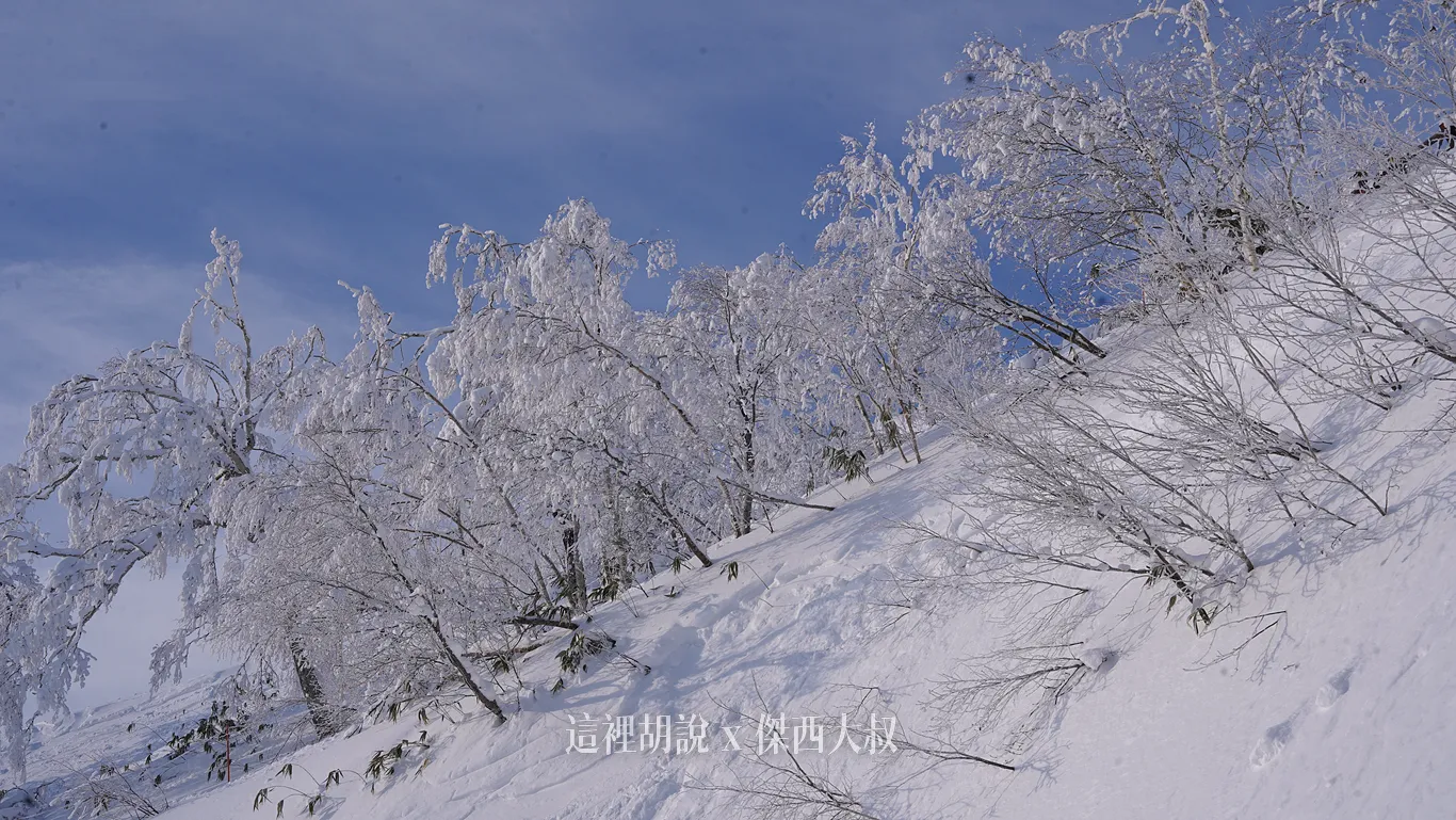 雪道的兩側都是樹木 雪道的兩側都是樹木