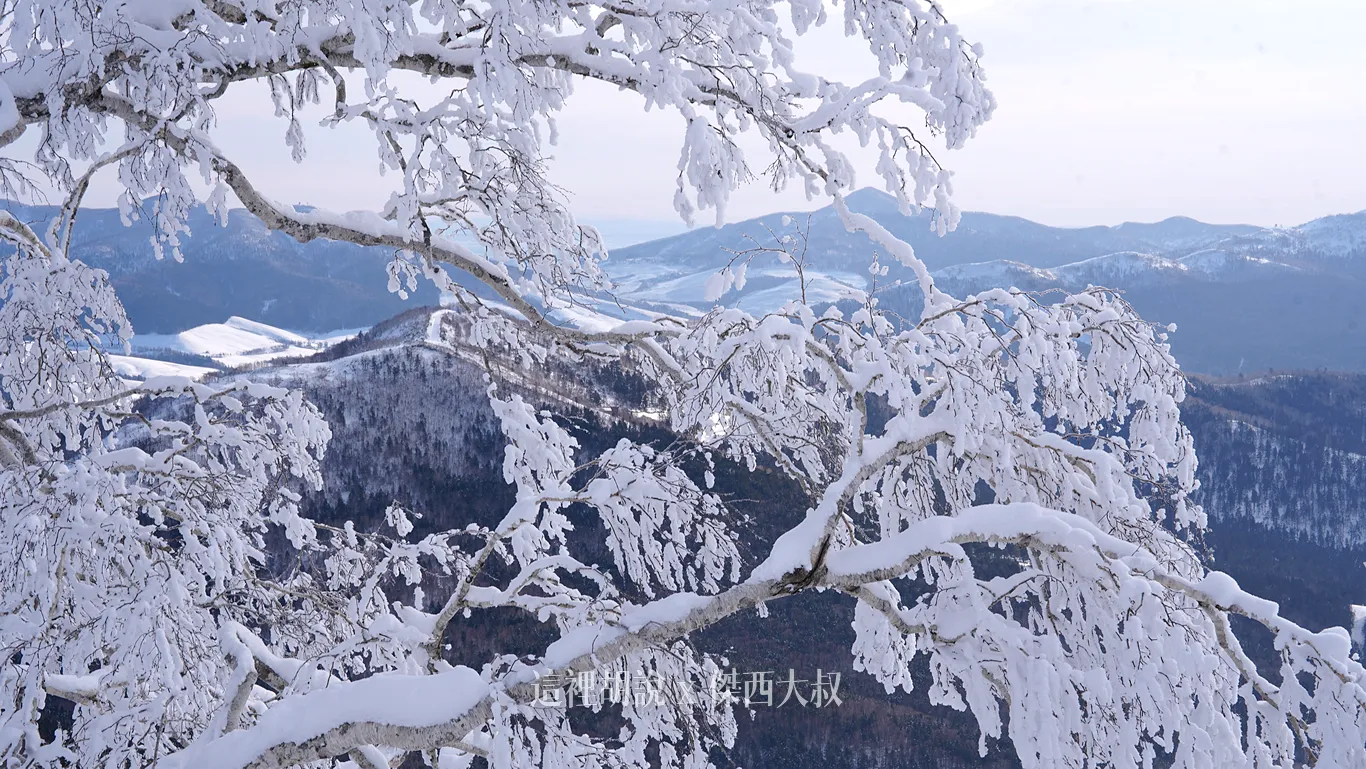 在山上也可以看到雪白的大地 在山上也可以看到雪白的大地