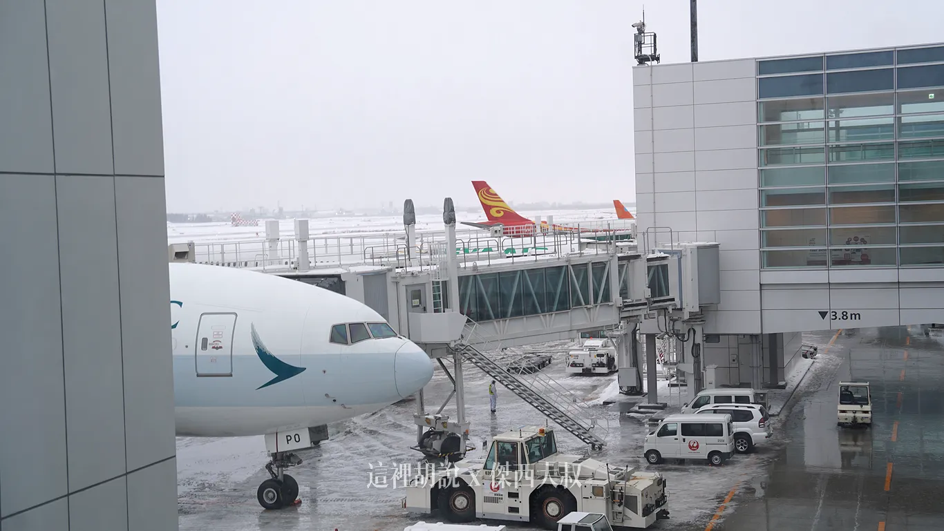 有下雪,但沒有到需要除雪的狀態 有下雪,但沒有到需要除雪的狀態