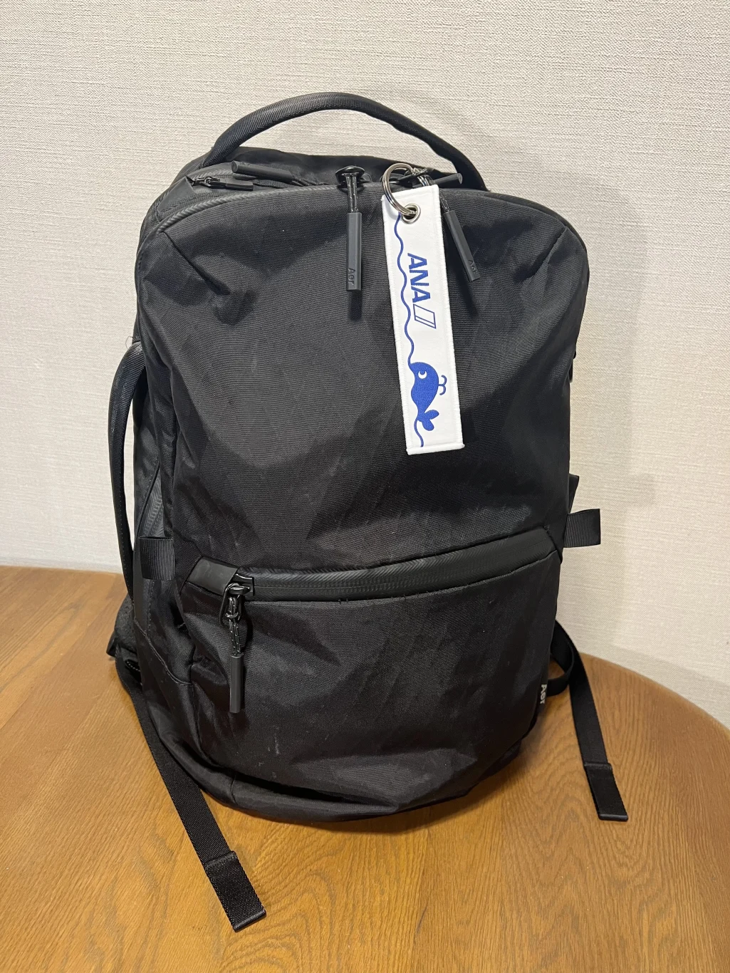ANA × OCEAN THREAD 永續飛行飄帶誕生 合作推出利用海洋塑料製作的飛行飄帶 - 這裡胡說 JL TALKS