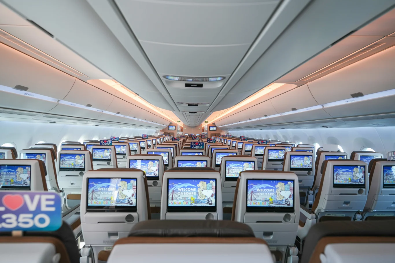 星宇航空A350-1000內裝採四艙等配置，包含4席頭等艙、40席商務艙、36席豪華經濟艙、270席經濟艙，共 350 個座位。