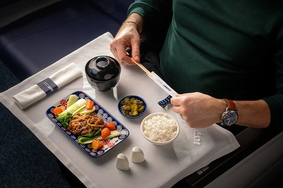 現代與傳統的交錯演繹   波蘭航空航班採用博萊斯瓦維茨 Manufaktura 陶器產品：波蘭航空 (LOT Polish Airlines) 飛機上的波蘭工藝標誌