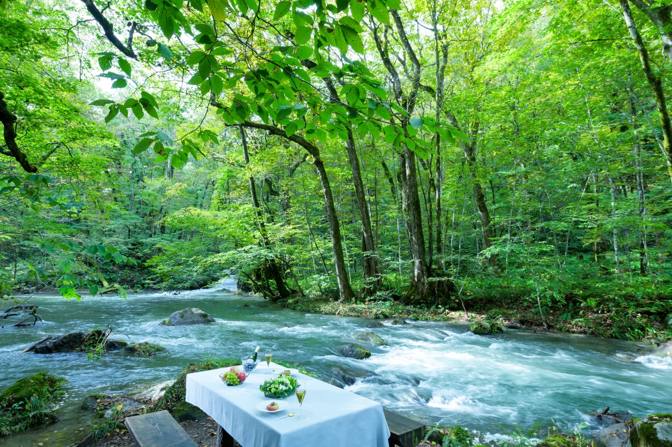 【星野集團 奧入瀨溪流飯店】平均氣溫 21℃,在森林甦醒與潺潺水聲中體驗涼爽的「奧入瀨早晨香檳」全新登場:景色、空氣、水聲皆涼爽,私房溪流秘境導覽 【星野集團 奧入瀨溪流飯店】平均氣溫 21℃,在森林甦醒與潺潺水聲中體驗涼爽的「奧入瀨早晨香檳」全新登場:景色、空氣、水聲皆涼爽,私房溪流秘境導覽