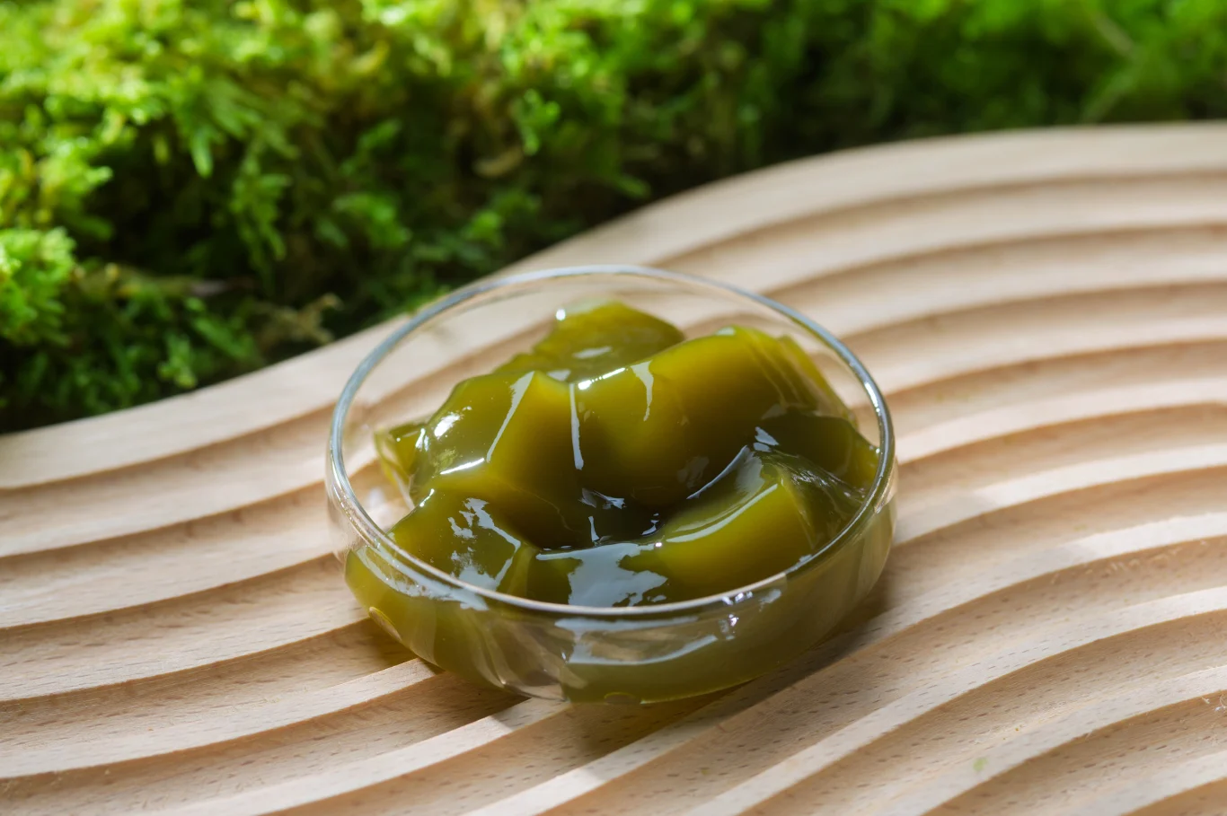 帶有濕度、表現閃亮青苔的蕨餅 帶有濕度、表現閃亮青苔的蕨餅