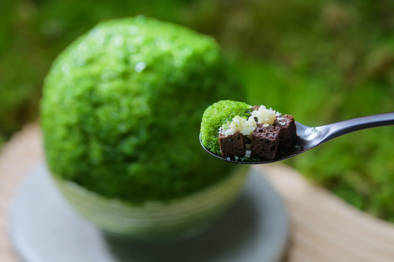 奧入瀨苔玉冰與以岩盤為概念的布朗尼及奶酥 奧入瀨苔玉冰與以岩盤為概念的布朗尼及奶酥