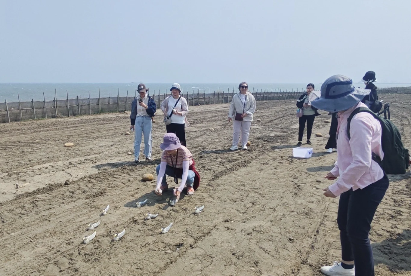 機場公司同仁於竹圍漁港佈置模擬假鳥，為小燕鷗營造友善繁殖環境。