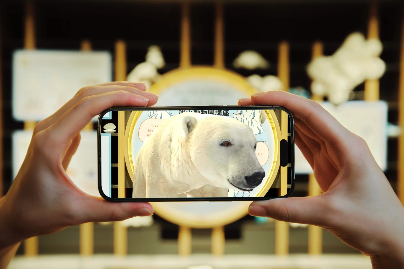 AR 動物園