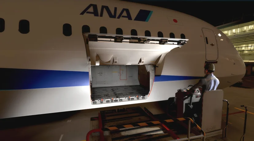 ANA與積木製作大規模更新VR訓練模擬器「∀TRAS」新增地勤專用「職業災害體驗內容」與新機場場景 進一步強化安全教育 - 這裡胡說 JL TALKS