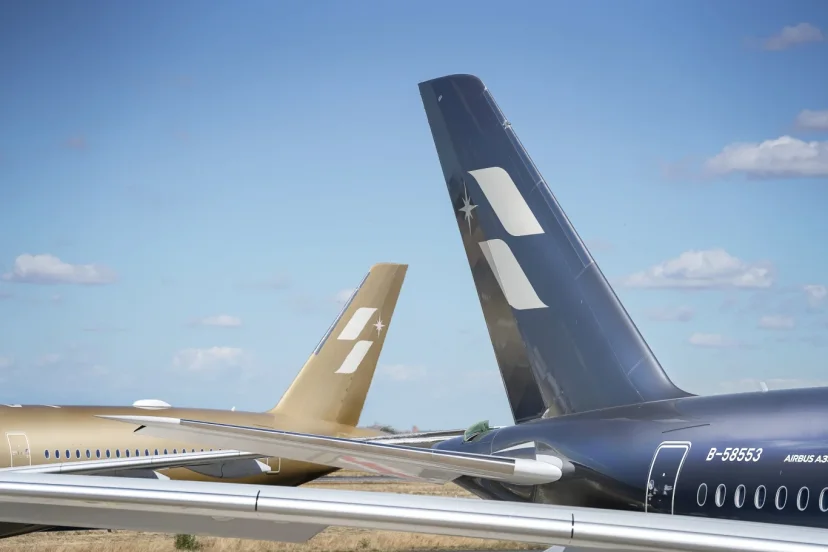 當天空成為美術館 星宇航空再次突破極限：全球當代藝術機 AIRSORAYAMA 空山銀正式誕生 - 這裡胡說 JL TALKS
