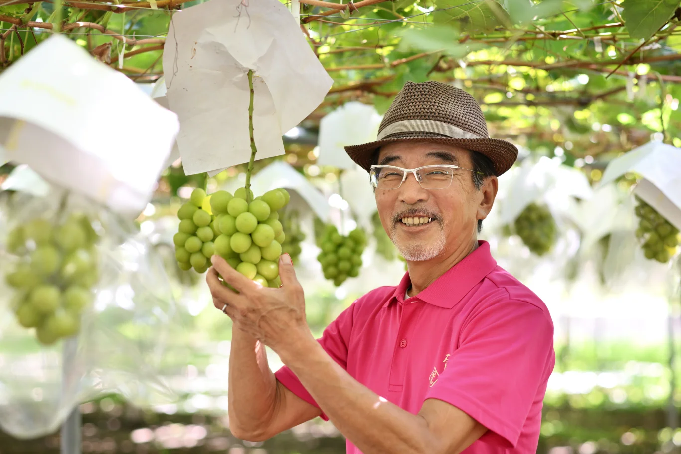 葡萄農園「葡萄專心」 葡萄農園「葡萄專心」
