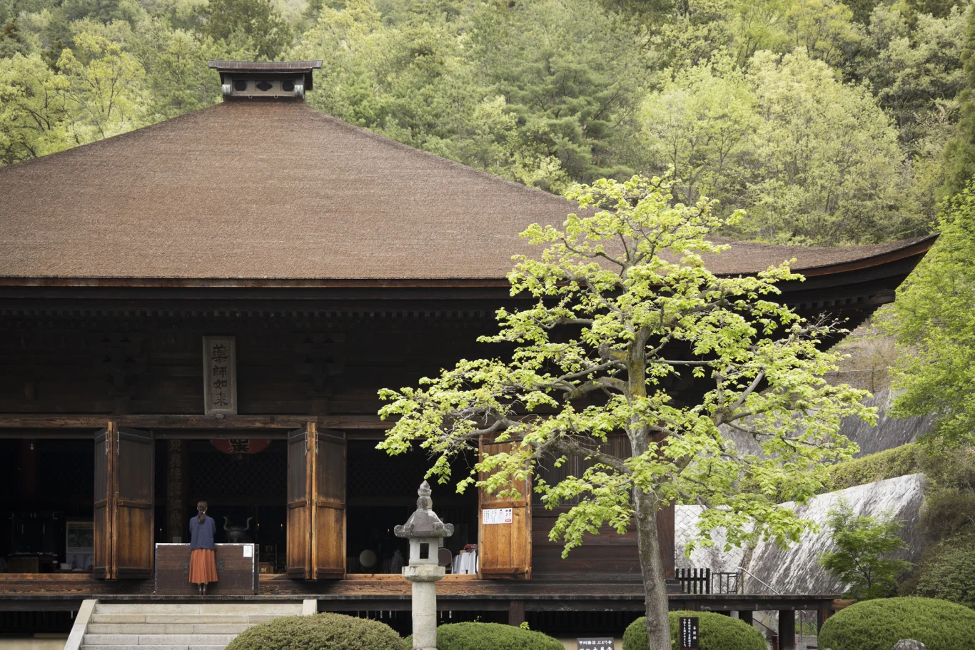 尋訪山梨葡萄的體驗,從葡萄傳入之地「大善寺」展開 尋訪山梨葡萄的體驗,從葡萄傳入之地「大善寺」展開