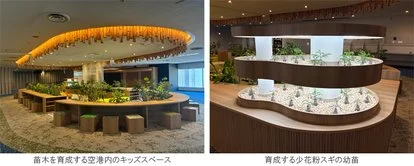 羽田機場攜手住友林業推森林循環 兒童區培育少花粉杉樹 - 這裡胡說 JL TALKS