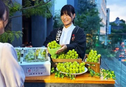 星野OMO5熊本攜手市府挺震災 房客免費享宇城麝香葡萄迎賓 - 這裡胡說 JL TALKS