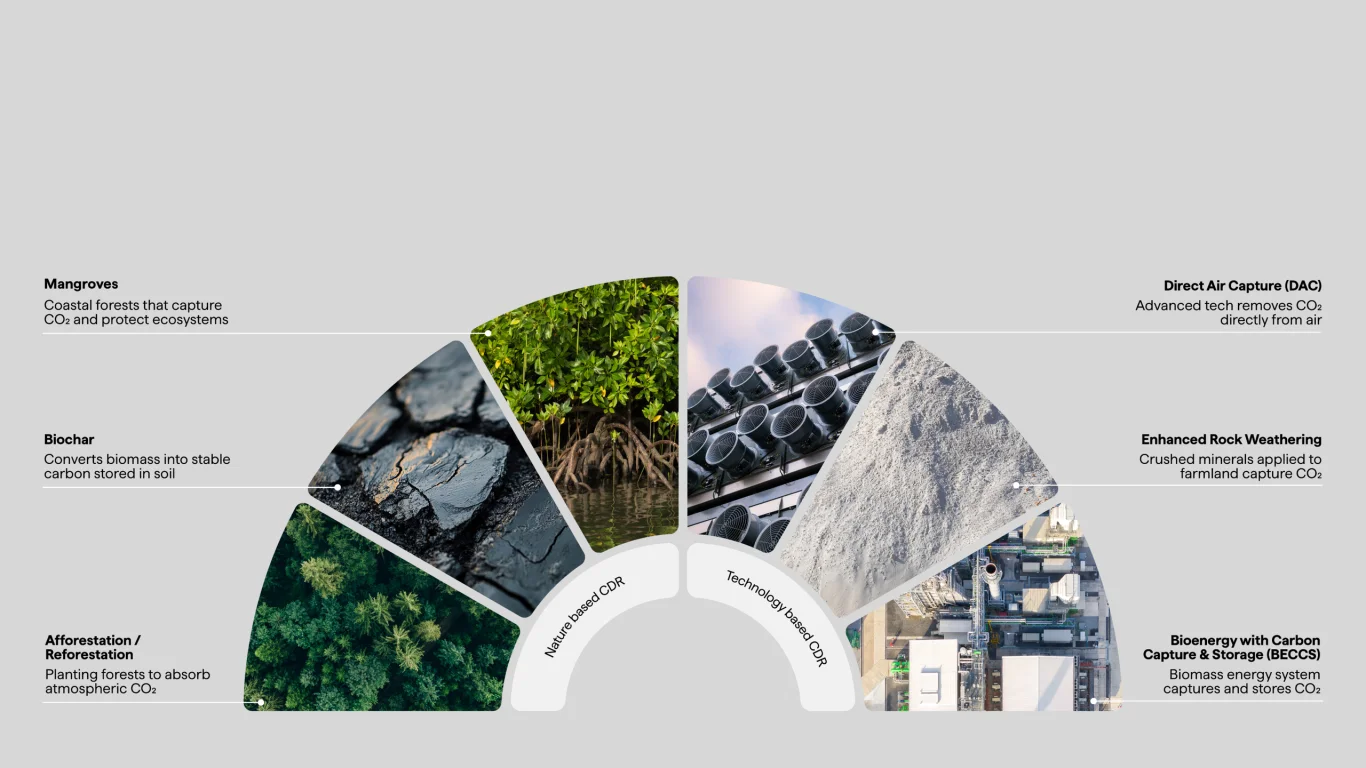 Climeworks Solutions 提供之多元碳移除途徑示意。