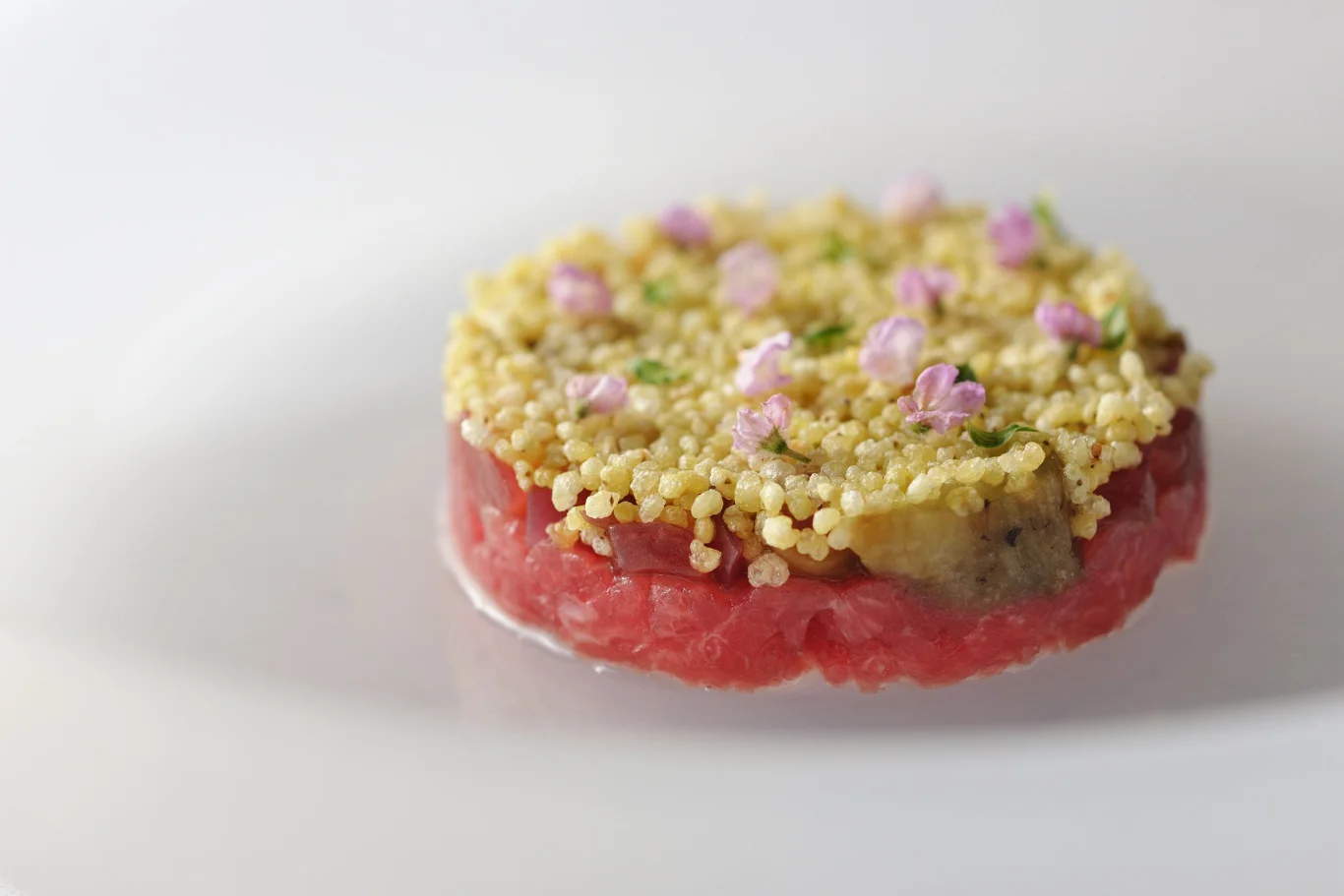 冷前菜「鮪魚 茄子」 冷前菜「鮪魚 茄子」