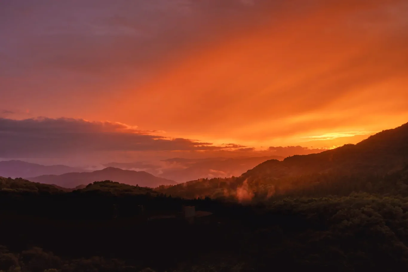 從屋頂花園望向夕陽景色