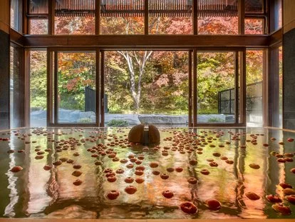 輕井澤星野蜻蜓之湯 11 月 7 日推蘋果湯 飄香 300 顆鮮果逛市集 - 這裡胡說 JL TALKS