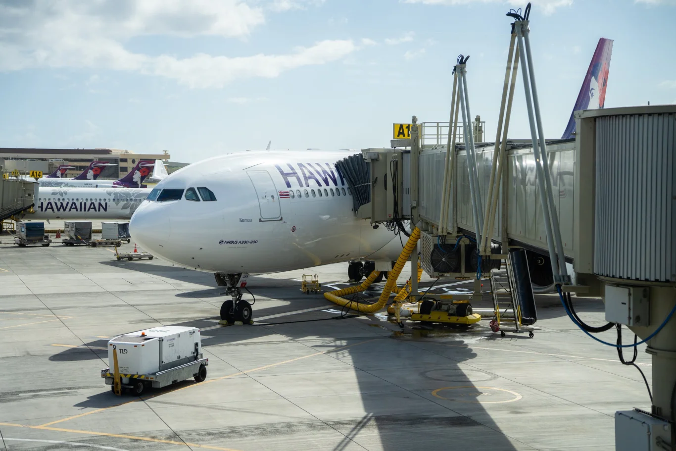 夏威夷航空出動A330辦模擬飛行 助258名身障旅客適應搭機：完整演練機場出境動線並首度啟用廣體客機