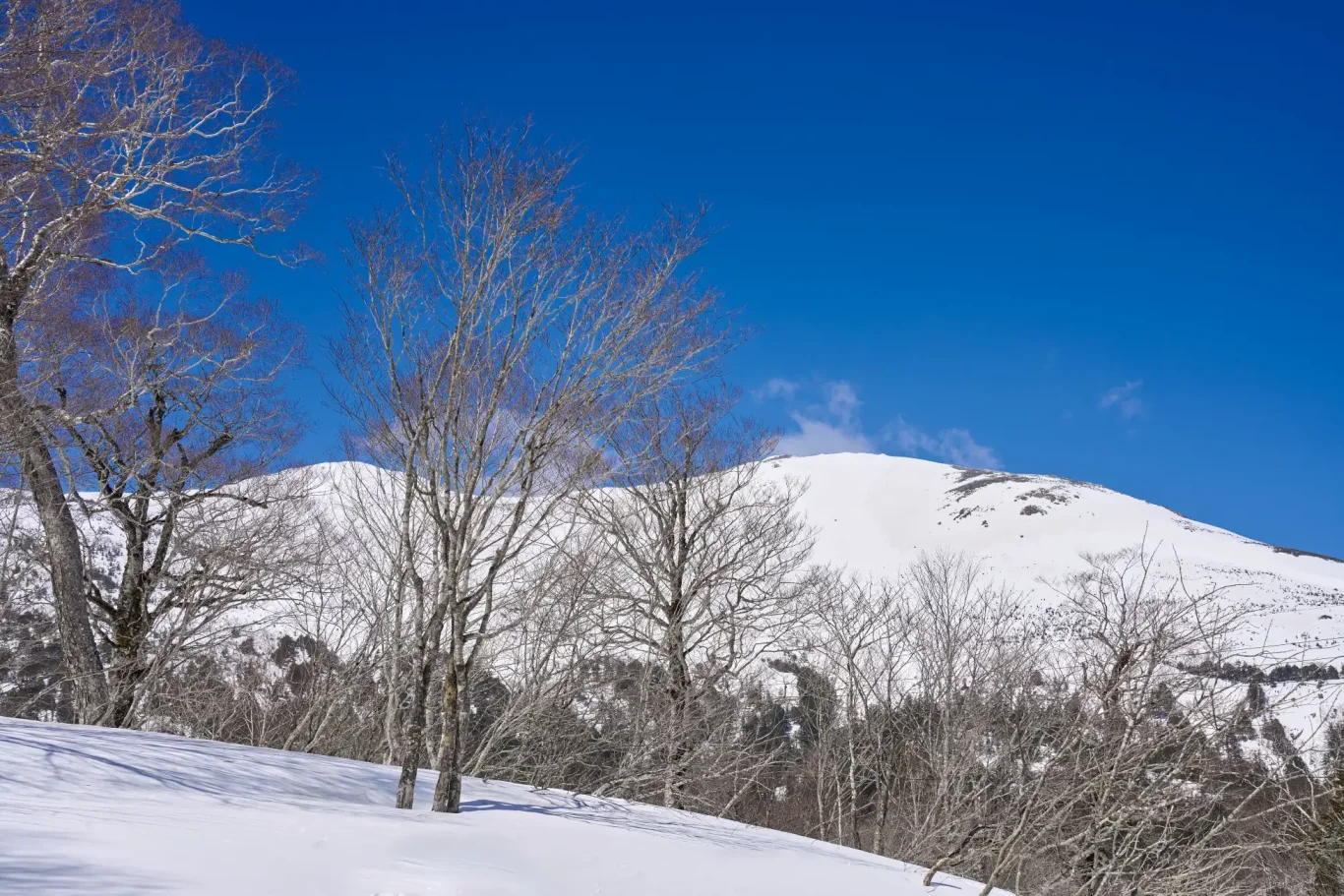星野LUCY尾瀨鳩待春季雪山專案開賣！未開山全額退費攜手MAMMUT - 這裡胡說 JL TALKS