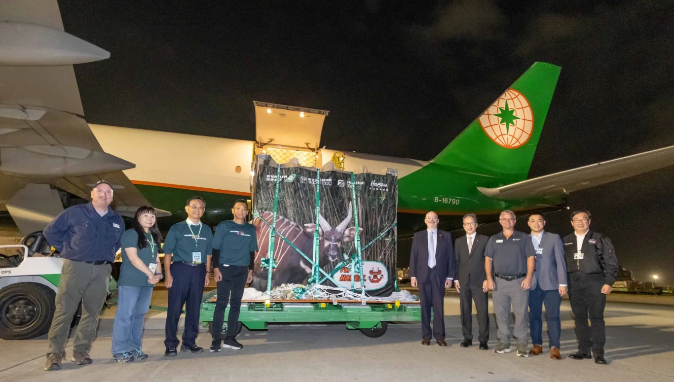 長榮航空777F貨機執飛18小時 運送斑哥條紋羚抵台結親 - 這裡胡說 JL TALKS 長榮航空777F貨機執飛18小時 運送斑哥條紋羚抵台結親 - 這裡胡說 JL TALKS
